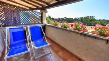 Standard Studio | Terrace/patio