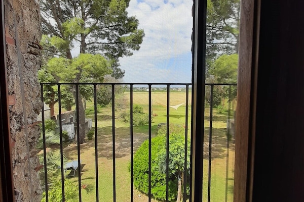 Junior Suite | Pemandangan taman