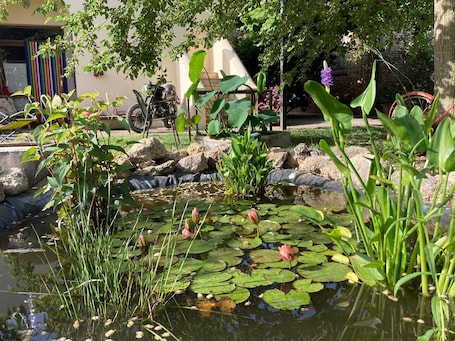Jardín