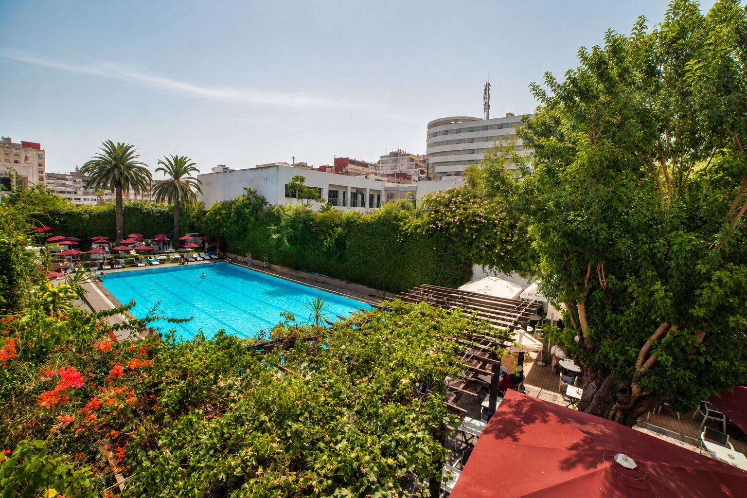 A swimming pool surrounded by greenery and a red-roofed structure.