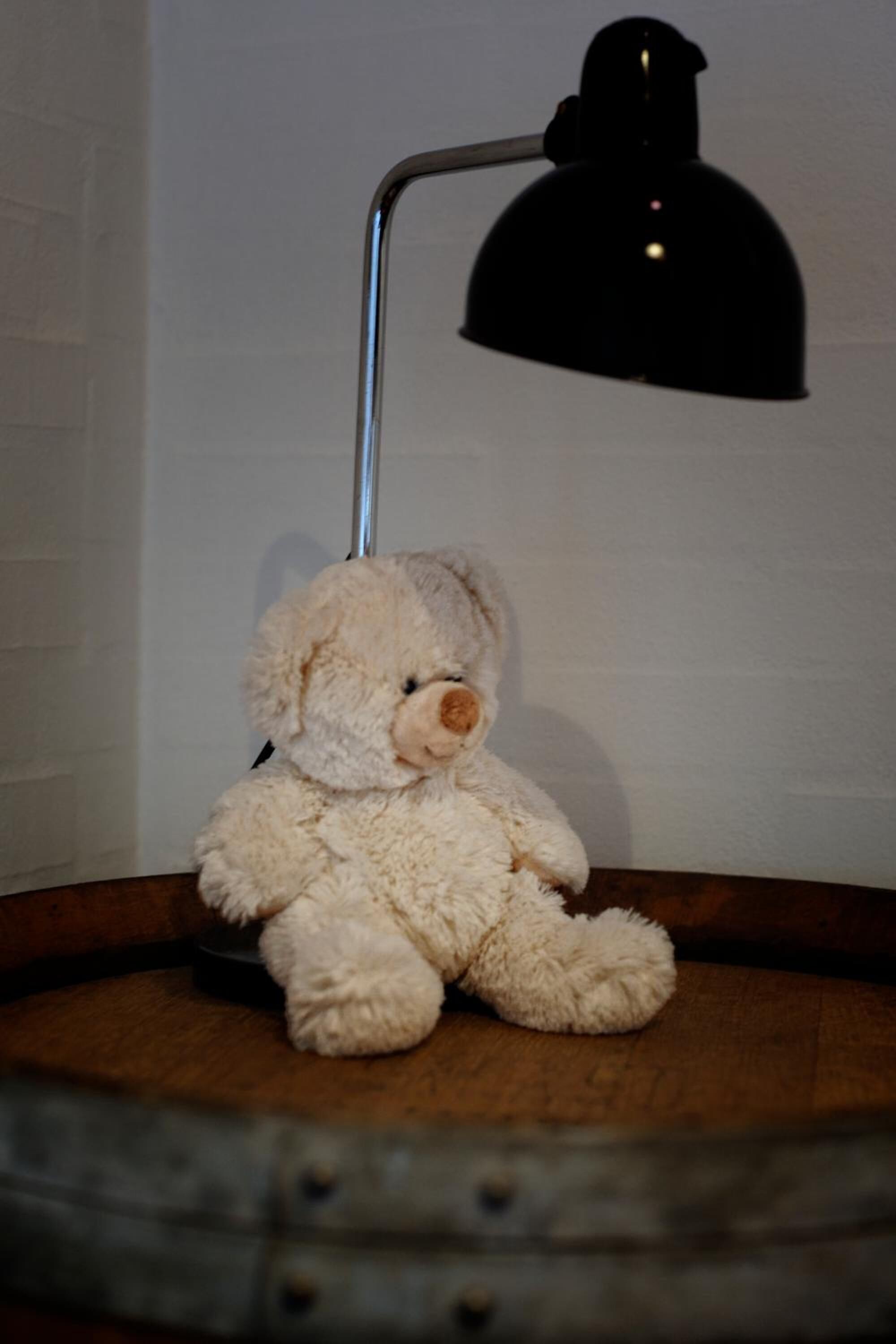 Un oso de peluche sentado sobre una superficie de madera con una lámpara negra arriba.