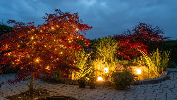 Un jardín con árboles e iluminación vegetal, un camino empedrado y un pequeño estanque.