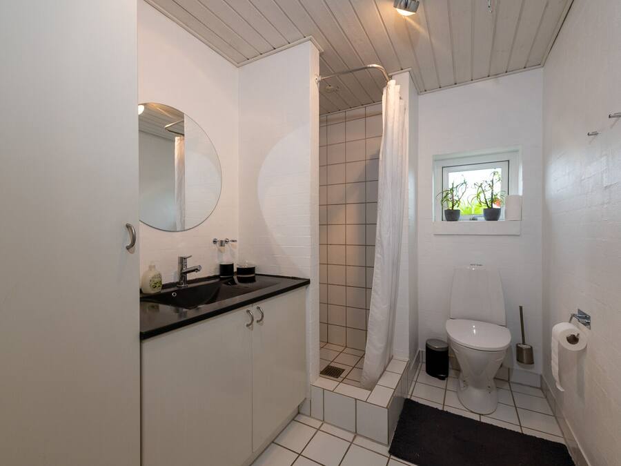 A bathroom with a sink, toilet, shower, and a window with plants.