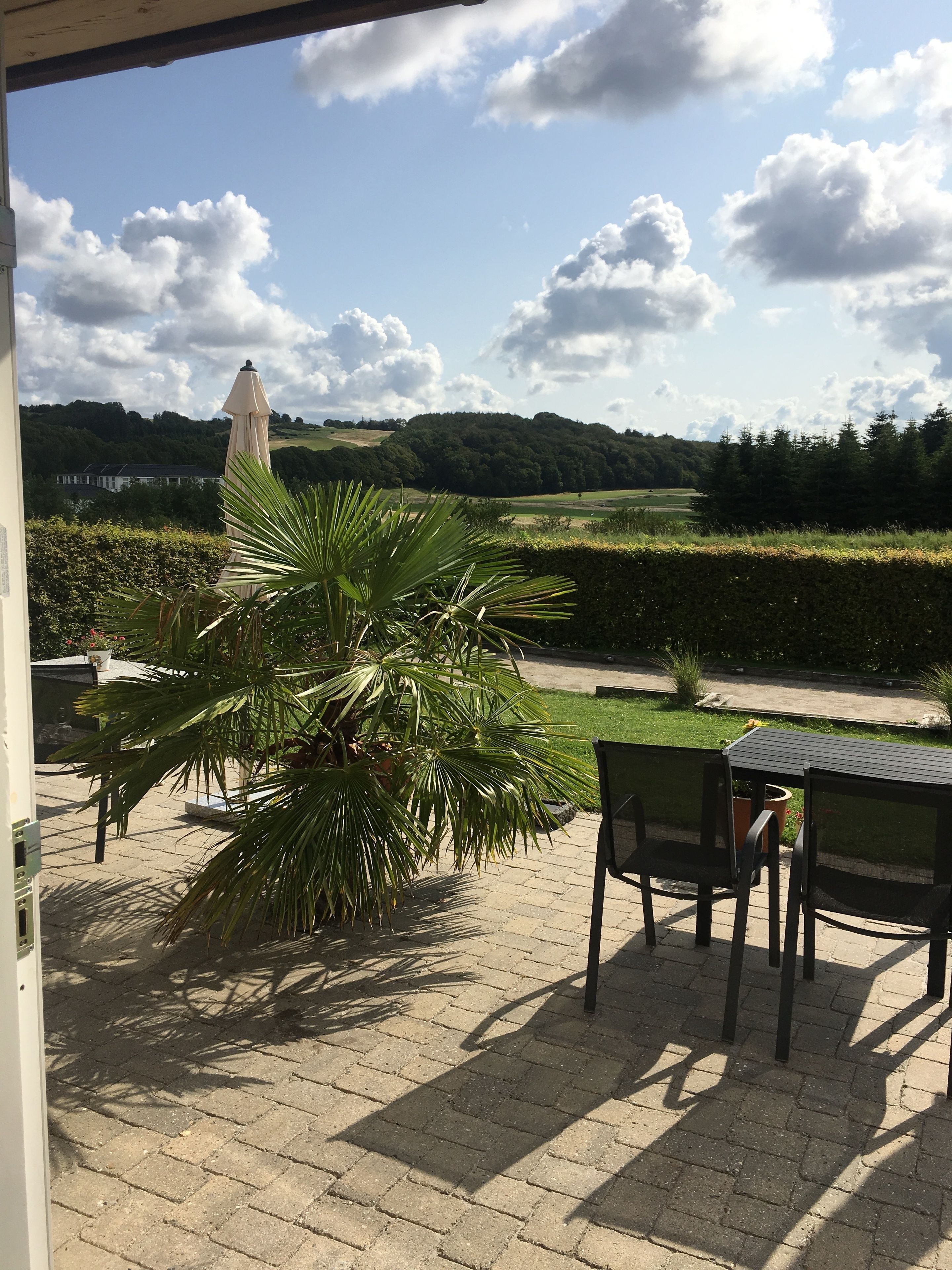Un patio al aire libre con una mesa y sillas, una palmera y vistas a un paisaje verde con una colina y un edificio a lo lejos.