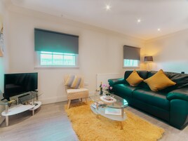 37 吋智能電視連有線電視頻道、電視