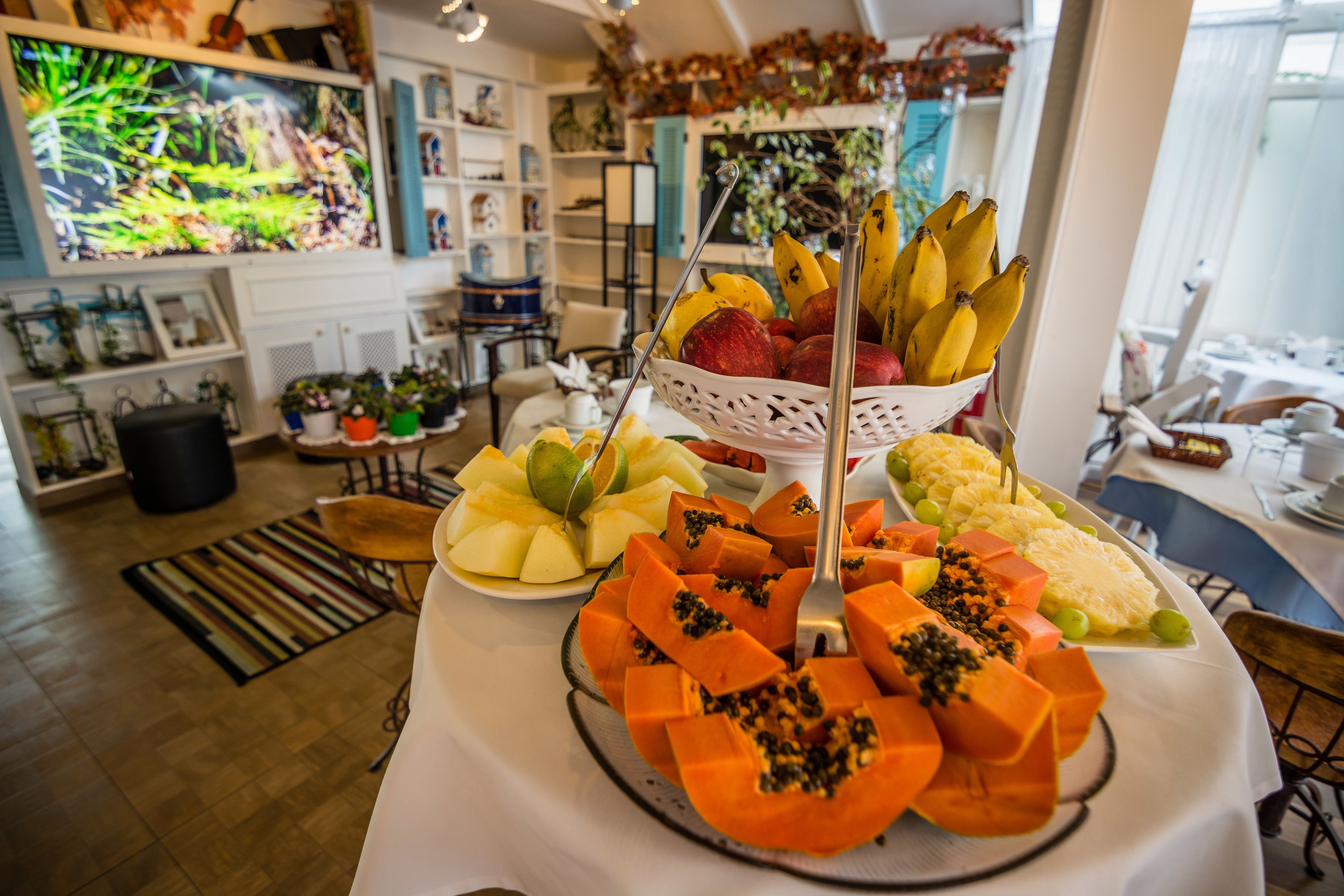 Photo - Pousada Piano Piano