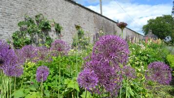 A garden with purple flowers in front of a brick wall.
