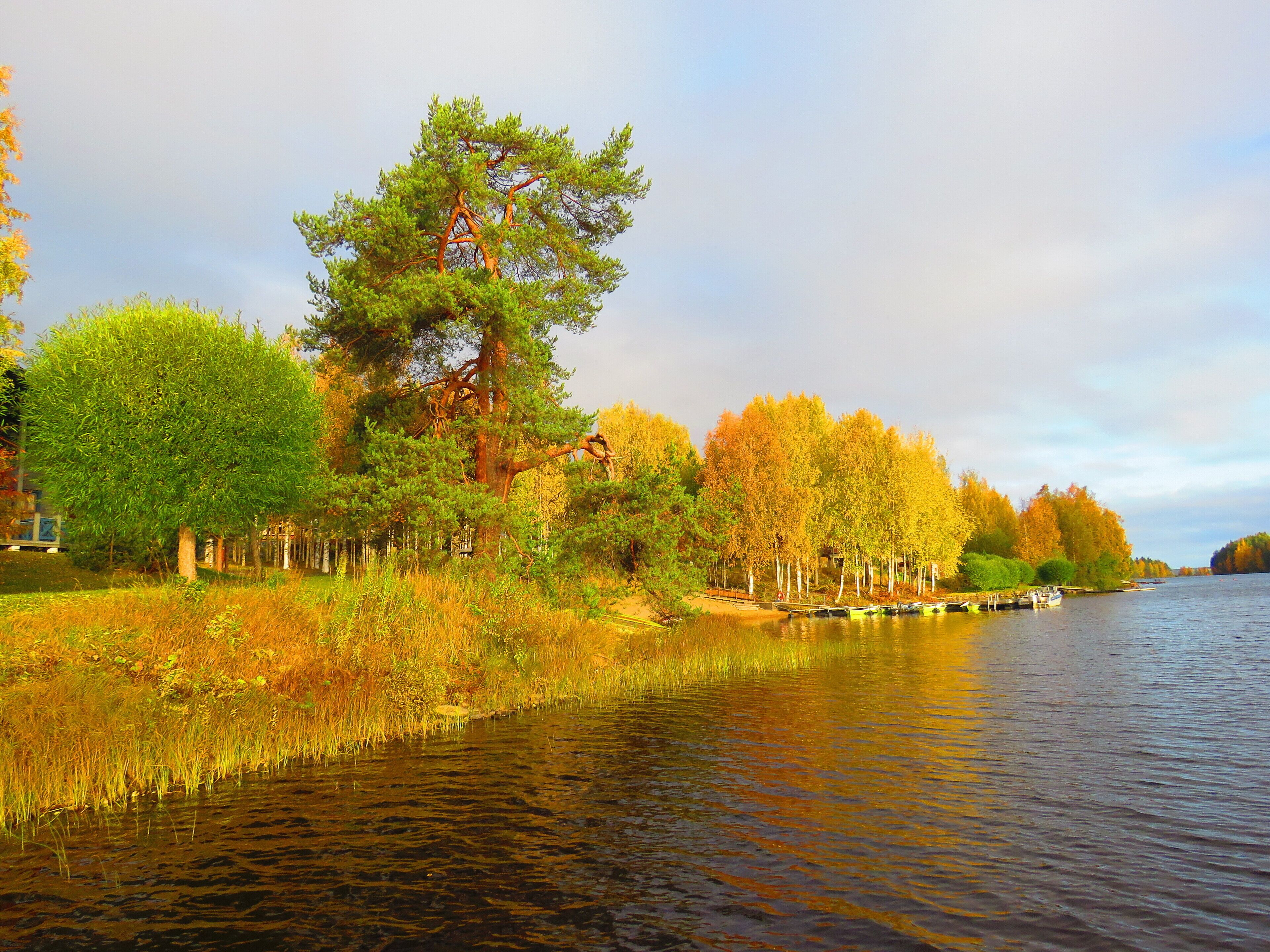 Une rivière paisible, bordée d’arbres et dotée d’un quai.