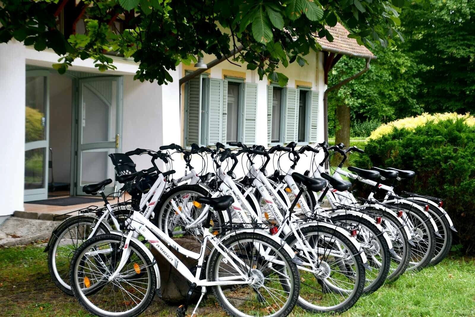A row of white bicycles parked outside a building with a door and windows.