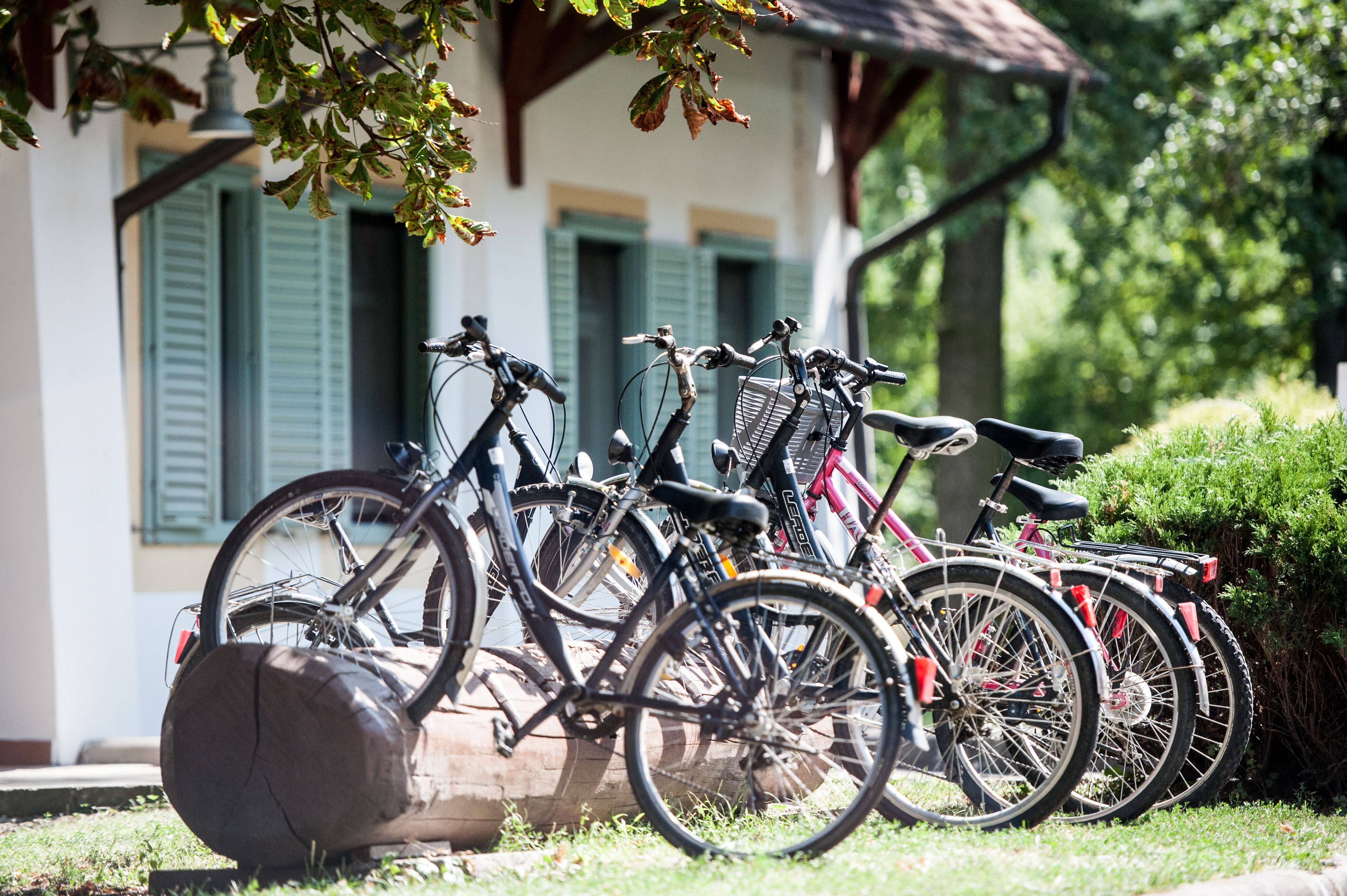 Bicycles parked in front of a building with green shutters.