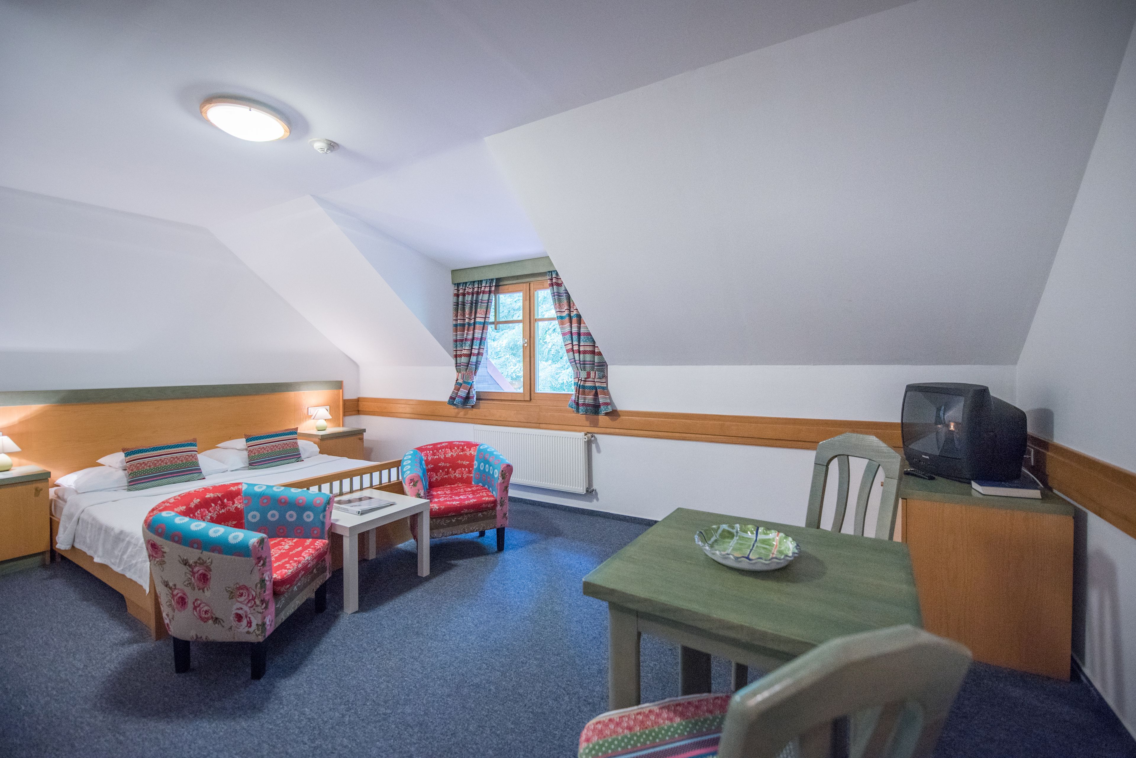 Una habitación acogedora con cama, dos sillas, una mesa, televisión y ventana con cortinas escocesas.