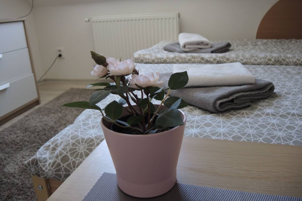 Habitación estándar doble