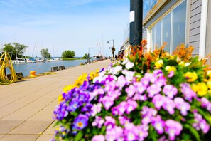 A waterfront promenade with a row of colorful flowers in the foreground, a dock with boats, and a building with large windows and decorative elements. - Vänerport Lakefront (Mariestad)
