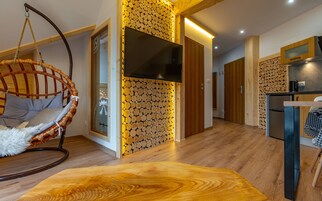 Televisión de pantalla plana