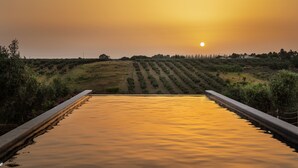 Un atardecer sobre una masa de agua con una cerca y hileras de vegetación.