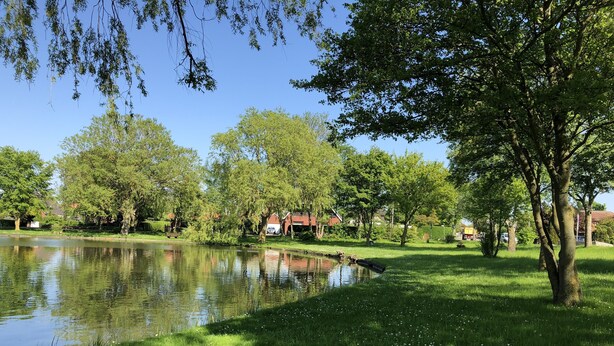 A serene park with a pond, lush greenery, and a clear blue sky.