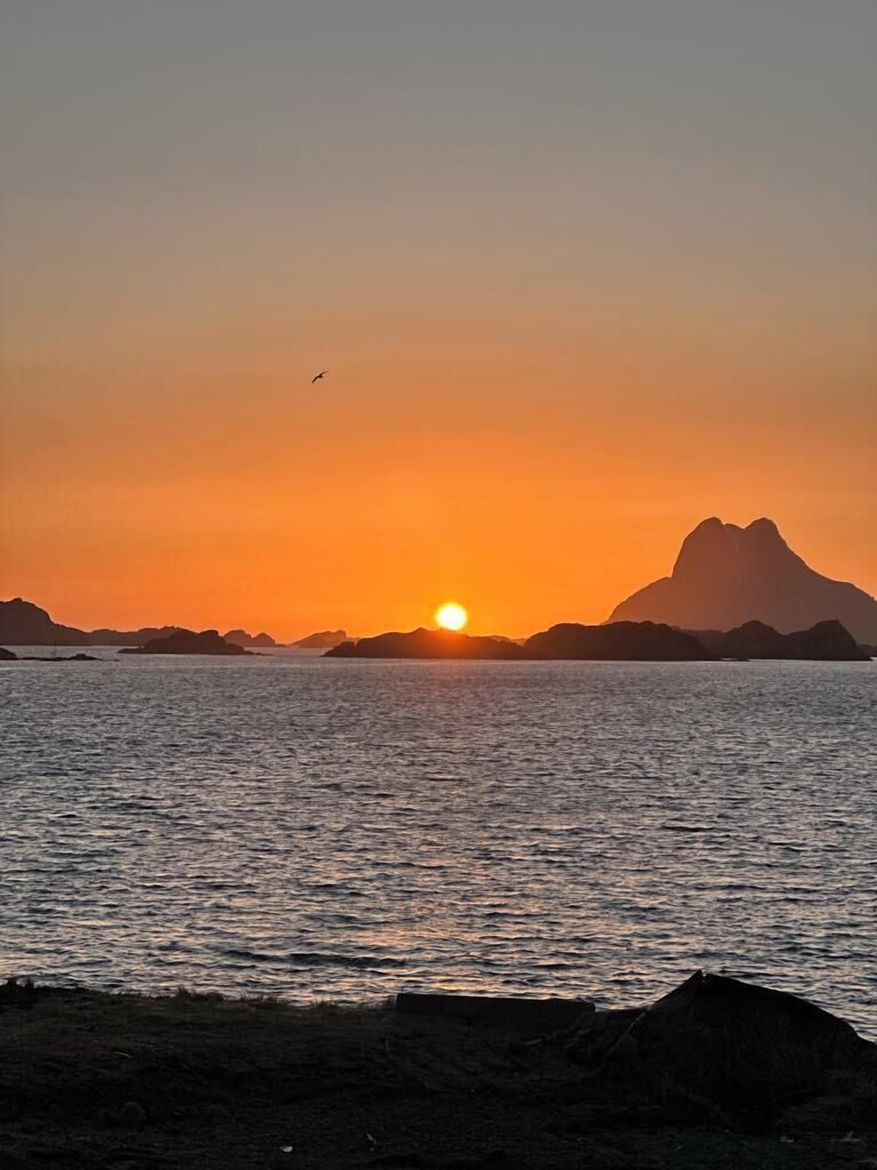 Ein Sonnenuntergang über einem ruhigen Meer mit der Silhouette eines Berges und einem fliegenden Vogel.