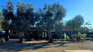 A modern house with a gravel driveway, surrounded by mature trees and a clear blue sky. - Casa Emiliana (Valle de Guadalupe)