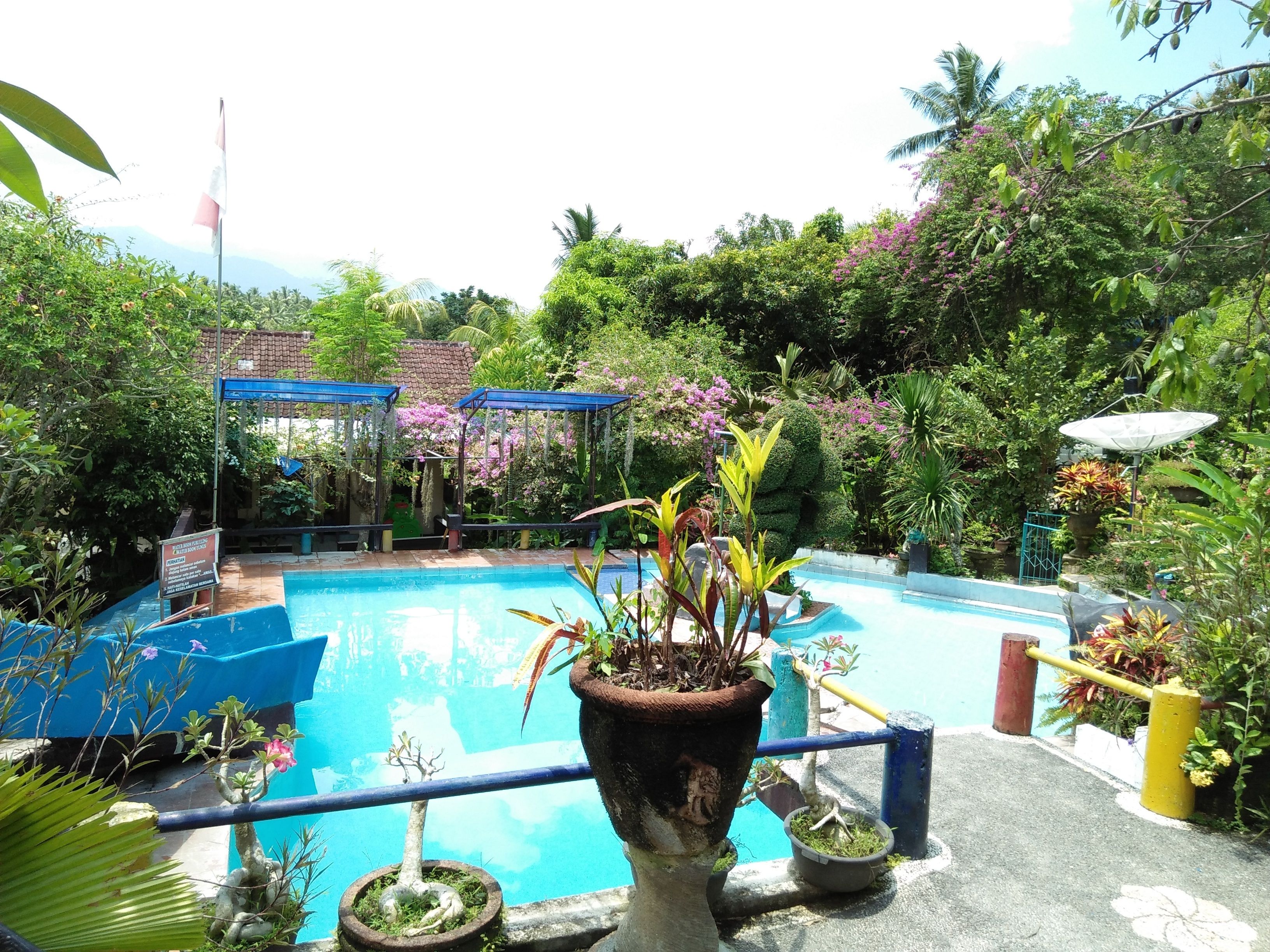 حمّام سباحة خارجي