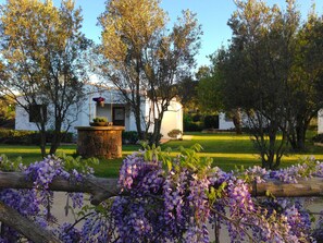 Exterior detail - Agriturismo Li Scopi (San Teodoro)
