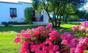 Exterior detail - Agriturismo Li Scopi (San Teodoro)