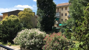 Vista al jardín
