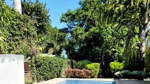 A rectangular swimming pool with clear blue water, surrounded by a concrete deck and lush greenery, including various trees and shrubs. - Hotel Casa del Sol (Managua)