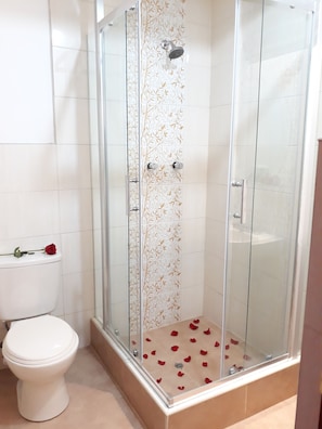 Habitación, 1 cama matrimonial | Baño | Regadera y toallas 