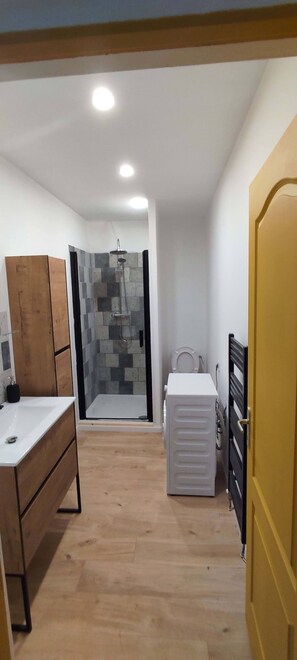 Shower, hair dryer, towels, toilet paper