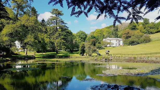 A serene landscape with a pond reflecting trees and a white building on a grassy hill. - Lake View Villa - Rosecraddoc Manor (Liskeard)