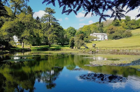 Fishing - Lake View Villa - Rosecraddoc Manor (Liskeard)