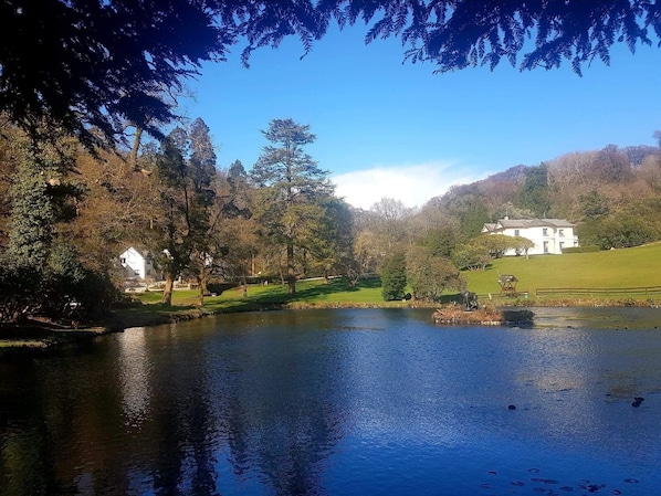 A serene lake with a white building in the background, surrounded by trees and a grassy area. - Lake View Villa - Rosecraddoc Manor (Liskeard)