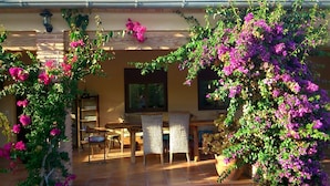 Terrace/patio - Finca El Corral (Lliber)