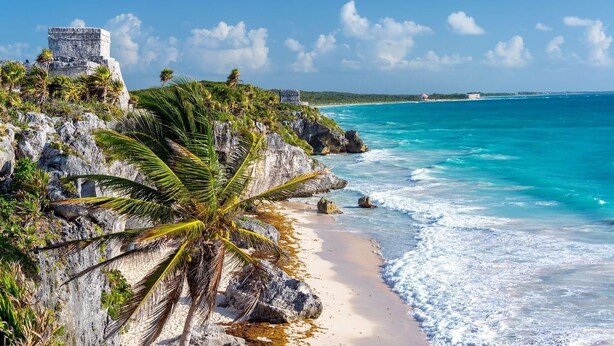Unclassified image, 1 of 43, button - Daytripper Hostel (Tulum)