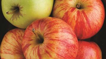 A close-up of several apples with varying colors and patterns.