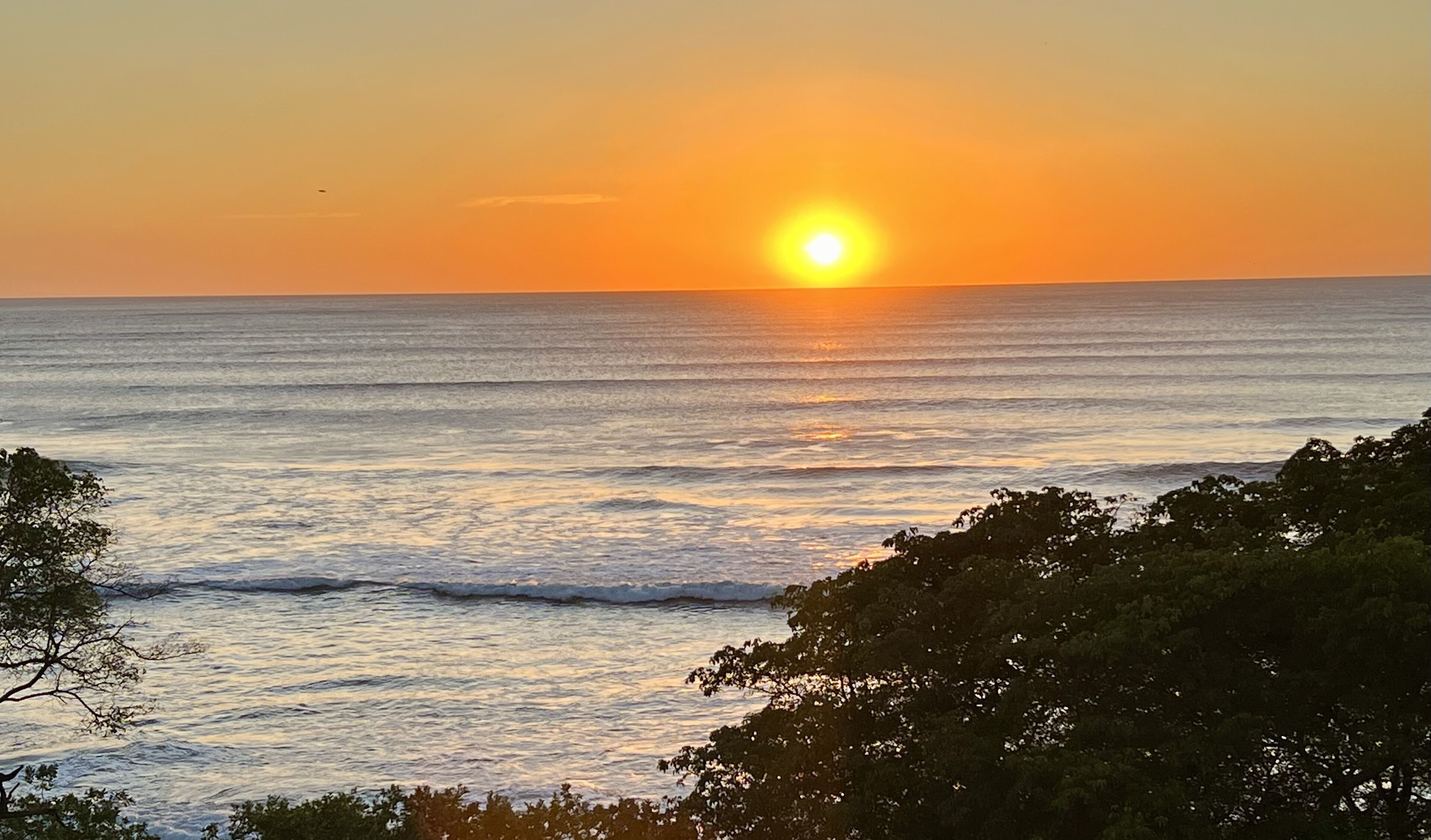 Plage, chaises longues, serviettes de plage