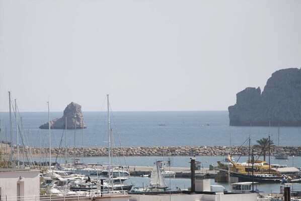 Vista desde la propiedad