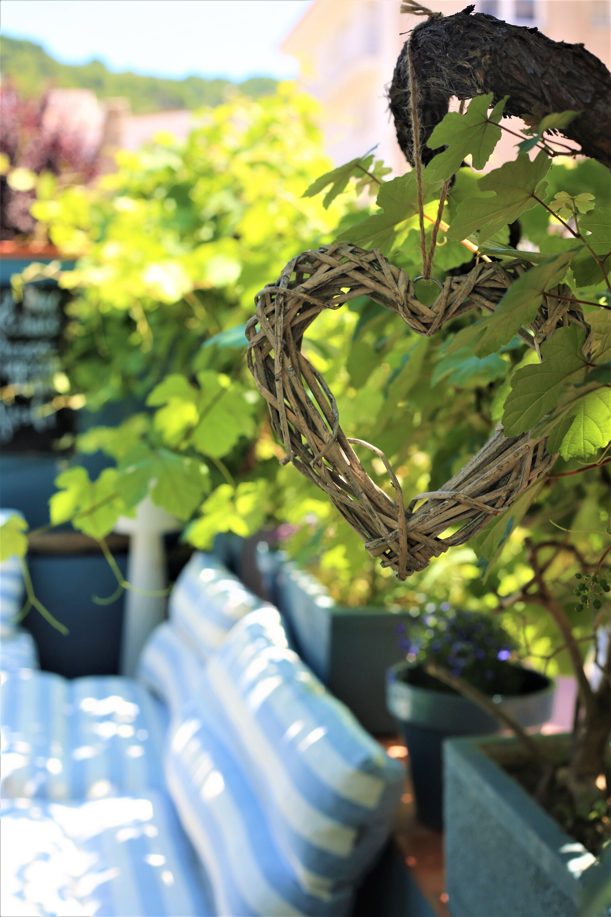 Foto - Pensión Hostel Costa Brava