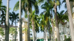 A courtyard with tall palm trees, a well-maintained lawn, and a building with balconies and windows. - Conch Shell Studio at Sandcastles (Ocho Rios)