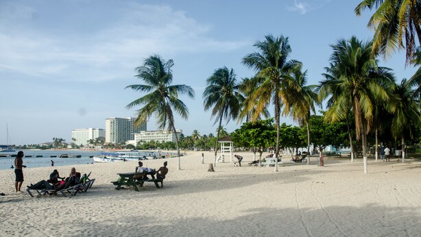 A beach with palm trees, a sandy shore, and a few people.