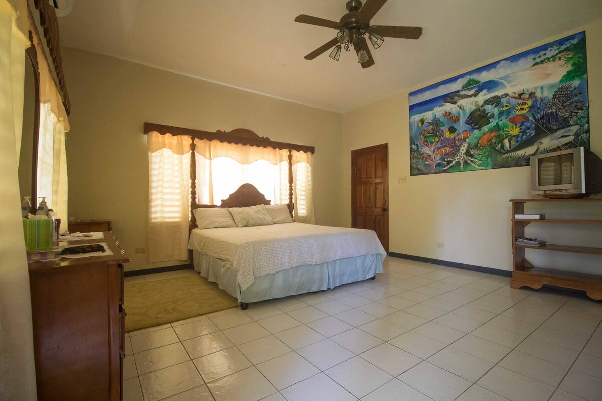 A bedroom with a bed, a ceiling fan, a painting, a television, and a wooden cabinet.