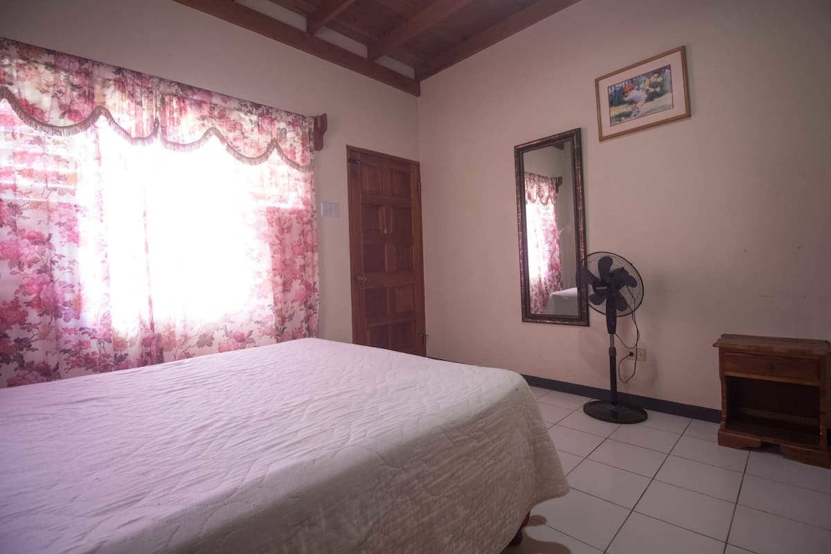 A bedroom with a bed, a standing fan, a wooden cabinet, a door, and a framed picture on the wall.