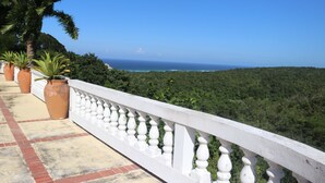 Pemandangan dari properti