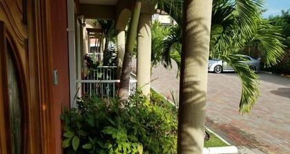 Palms of Liguanea