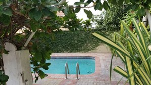 Outdoor pool - Palms of Liguanea (Kingston)