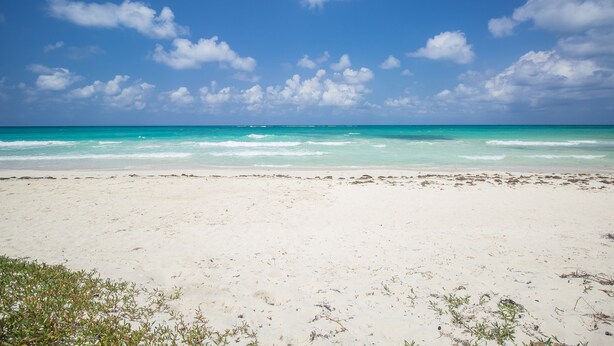A beach with clear turquoise water and a sandy shore under a blue sky with scattered clouds. - Villa Island Breeze (Duncans)