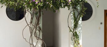 Sonido Del Mar Hotel and Yoga Loft