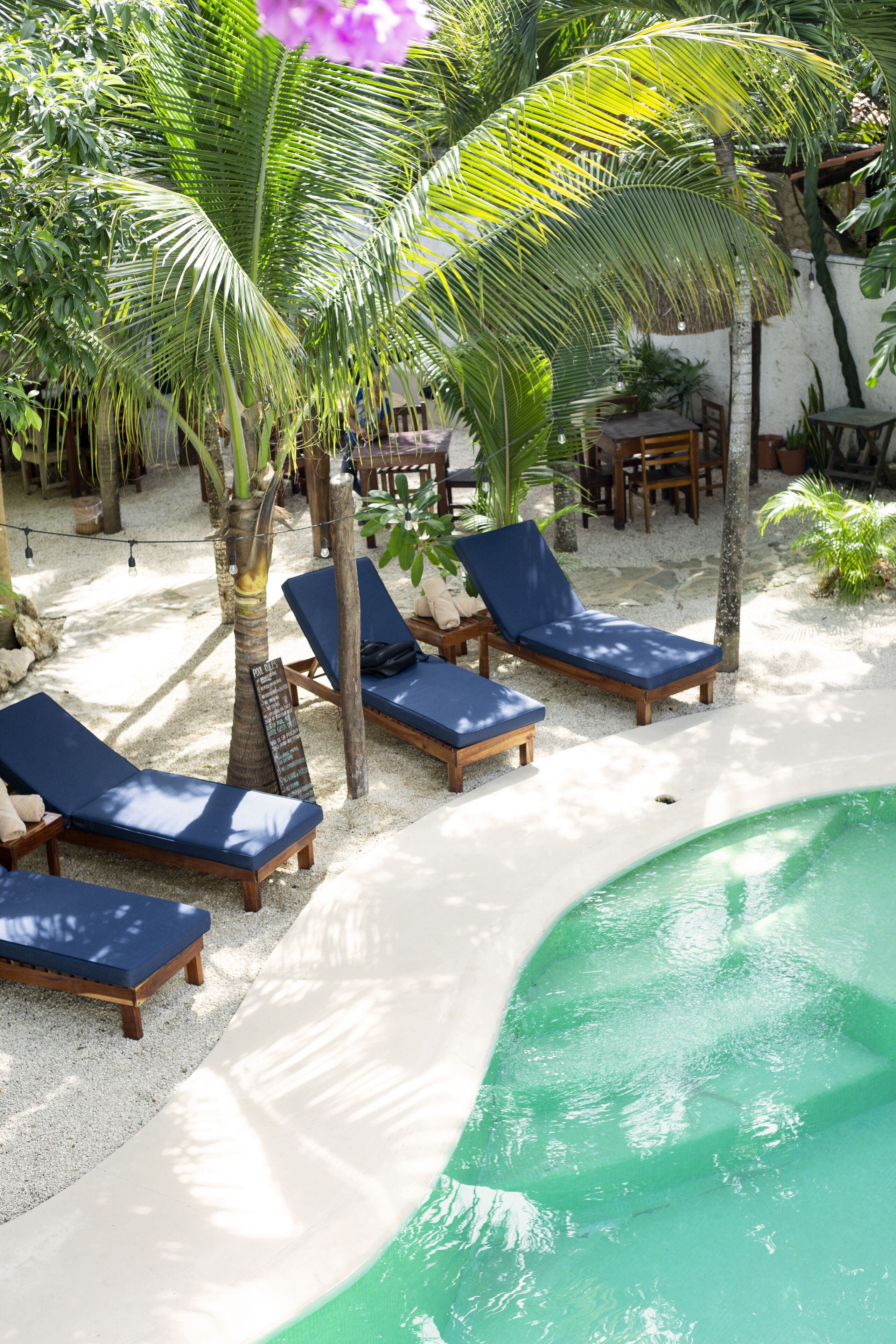 Apartamento, 3 quartos, cozinha americana, vista para a piscina | Vista para o jardim