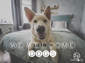 Pet-friendly