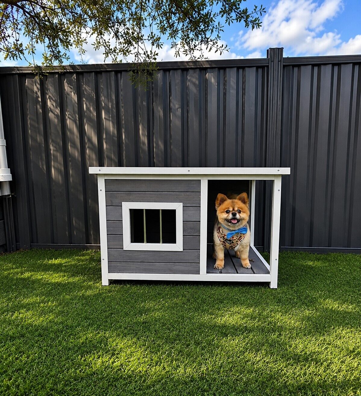  Deluxe Cabin (1BR) - Pet Friendly | Terrace/patio